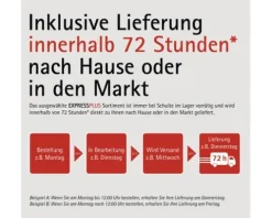 Runddusche SCHULTE Sunny ExpressPlus R550 90x90 cm Dekor Dezent Light Profilfarbe alpinweiß