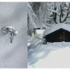 SCHELL Frostsichere Außenwandarmatur SCHELL POLAR II 3/4" AG Rückflussverhinderer chrom 039960399