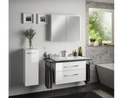 Spiegelschrank FACKELMANN Denver 80 x 16 x 68,5 cm weiß 2-türig LED IP 20