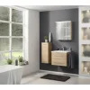 Spiegelschrank FACKELMANN B.perfekt 60 x 15 x 69 cm ast-eiche 2-türig LED