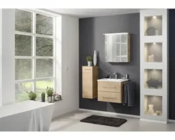 Spiegelschrank FACKELMANN B.perfekt 60 x 15 x 69 cm ast-eiche 2-türig LED