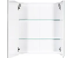 Spiegelschrank Möbelpartner Basic 60 x 16 x 70,7 cm weiß hochglanz 2-türig