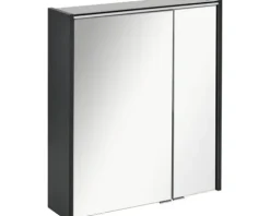 Spiegelschrank FACKELMANN Denver 60 x 16 x 68,5 cm anthrazit 2-türig LED IP 20