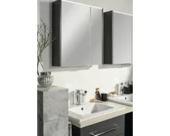Spiegelschrank FACKELMANN Denver 60 x 16 x 68,5 cm anthrazit 2-türig LED IP 20