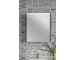 Spiegelschrank FACKELMANN Denver 60 x 16 x 68,5 cm anthrazit 2-türig LED IP 20