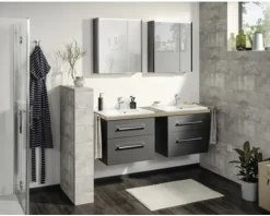 Spiegelschrank FACKELMANN Denver 60 x 16 x 68,5 cm anthrazit 2-türig LED IP 20