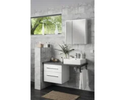 Spiegelschrank FACKELMANN Denver 60 x 16 x 68,5 cm weiß 2-türig LED IP 20