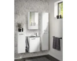 Spiegelschrank FACKELMANN Denver 42 x 16 x 68,5 cm weiß 1-türig LED IP 20