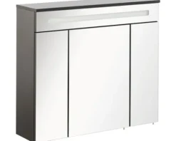 Spiegelschrank FACKELMANN Kara 80 x 22,5 x 70 cm anthrazit 3-türig LED IP 20