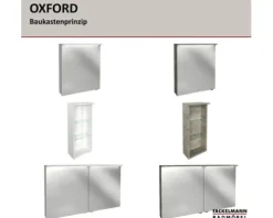 Spiegelschrank FACKELMANN Oxford 120.2 x 20 x 69.6 cm weiß 2-türig LED IP 20