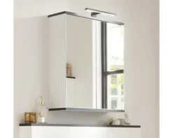 Spiegelschrank FACKELMANN TE-A 60 x 20 x 71,3 cm weiß matt 2-türig