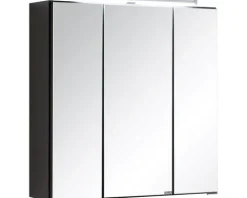 Spiegelschrank Held Möbel 60 x 20 x 66 cm dunkelgrau 3-türig 003