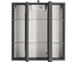 Spiegelschrank Held Möbel 60 x 20 x 66 cm dunkelgrau 3-türig 003