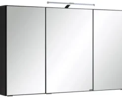 Spiegelschrank Held Möbel 100 x 20 x 66 cm dunkelgrau 3-türig 005