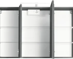 Spiegelschrank Held Möbel 100 x 20 x 66 cm dunkelgrau 3-türig 005