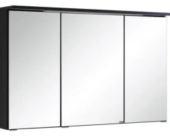 Spiegelschrank Held Möbel 100 x 20 x 66 cm dunkelgrau 3-türig 013