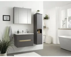 Spiegelschrank Pelipal Capri 80 x 16 x 70 cm grau 3-türig