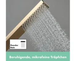 Stabhandbrause hansgrohe Pulsify E 100 1jet EcoSmart+ eckig 26 x 40 mm brushed bronze 24320140