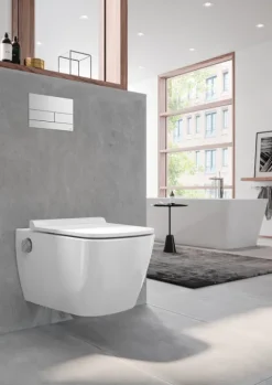 TECEneo Dusch-WC Taharet Kaltwasser mit Wc Sitz, weiß 9700207