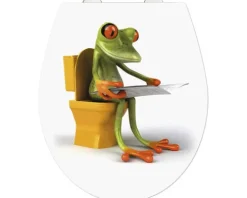 Wenko WC-Sitz Frog mit Absenkautomatik Befestigungsart von oben 21758100